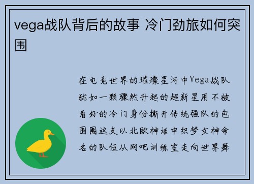 vega战队背后的故事 冷门劲旅如何突围