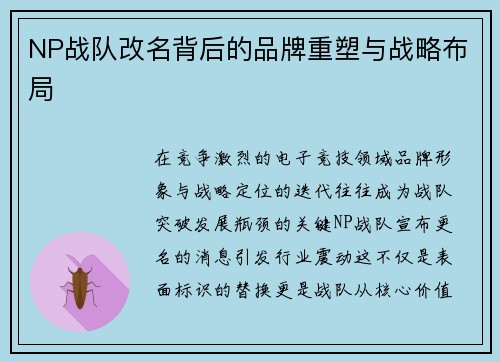 NP战队改名背后的品牌重塑与战略布局